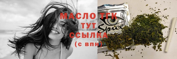 ешки Горняк
