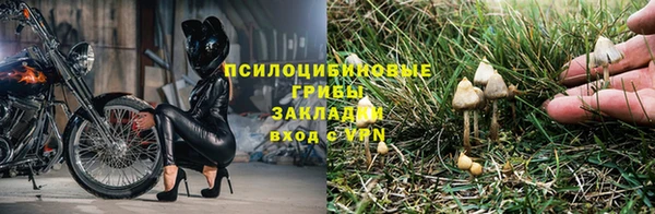 ешки Горняк