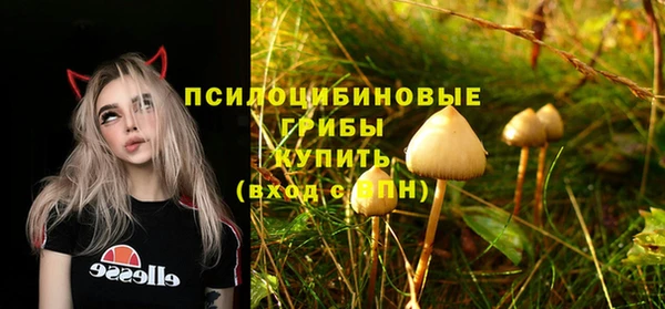 наркотики Горно-Алтайск