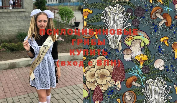 мескалин Горнозаводск