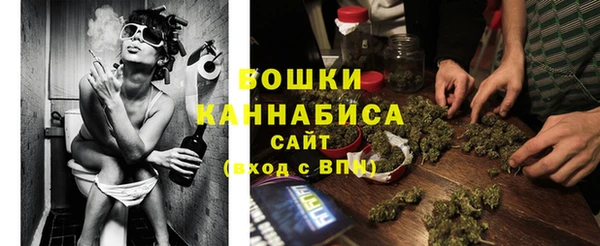 ешки Горняк